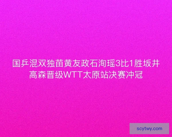 国乒混双独苗黄友政石洵瑶3比1胜坂井高森晋级WTT太原站决赛冲冠