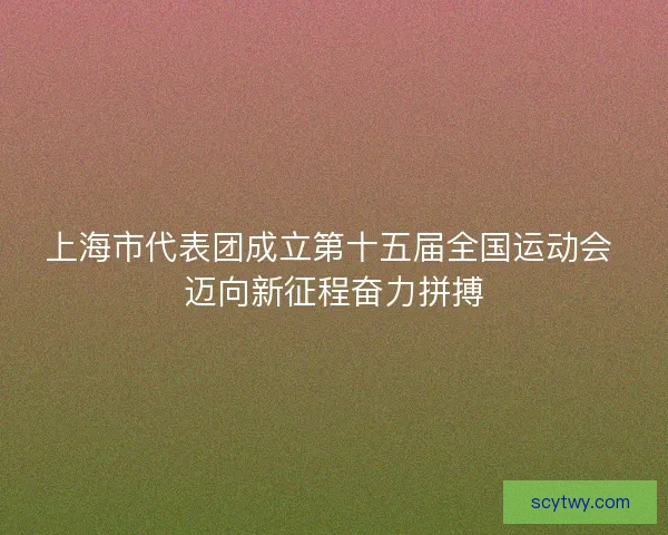 上海市代表团成立第十五届全国运动会 迈向新征程奋力拼搏