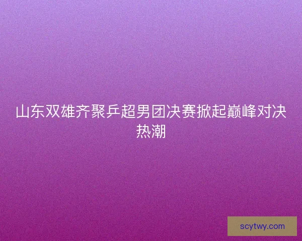 山东双雄齐聚乒超男团决赛掀起巅峰对决热潮